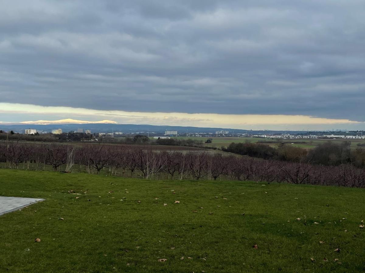 Weingut Bugner Meizelhof Klein-Winternheim Dış mekan fotoğraf